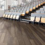Swan Bay Ash floors in an auditorium