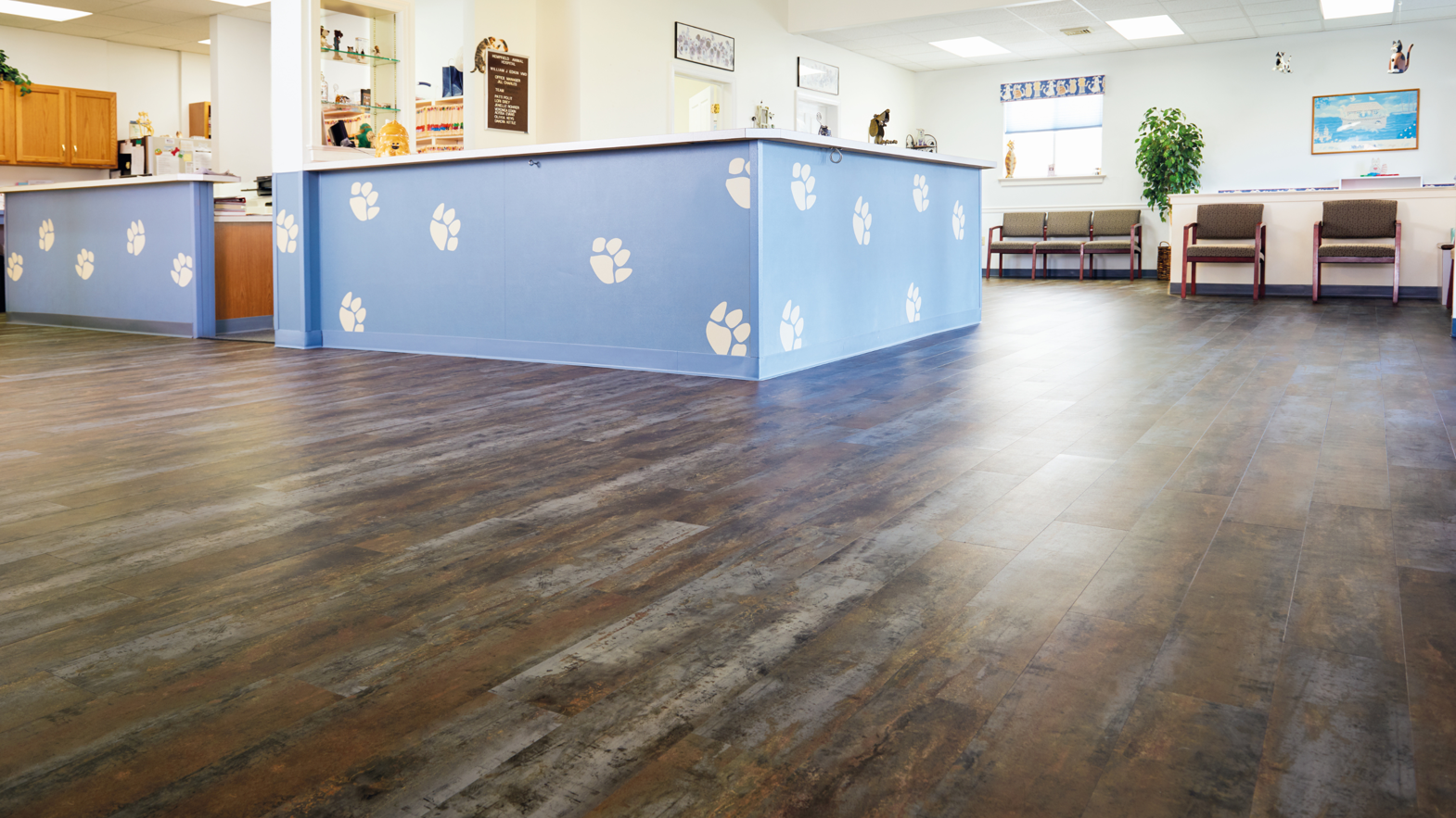 Texo gluedown lvt floors add a modern, professional look to the front desk at Hampfield Animal Hospital