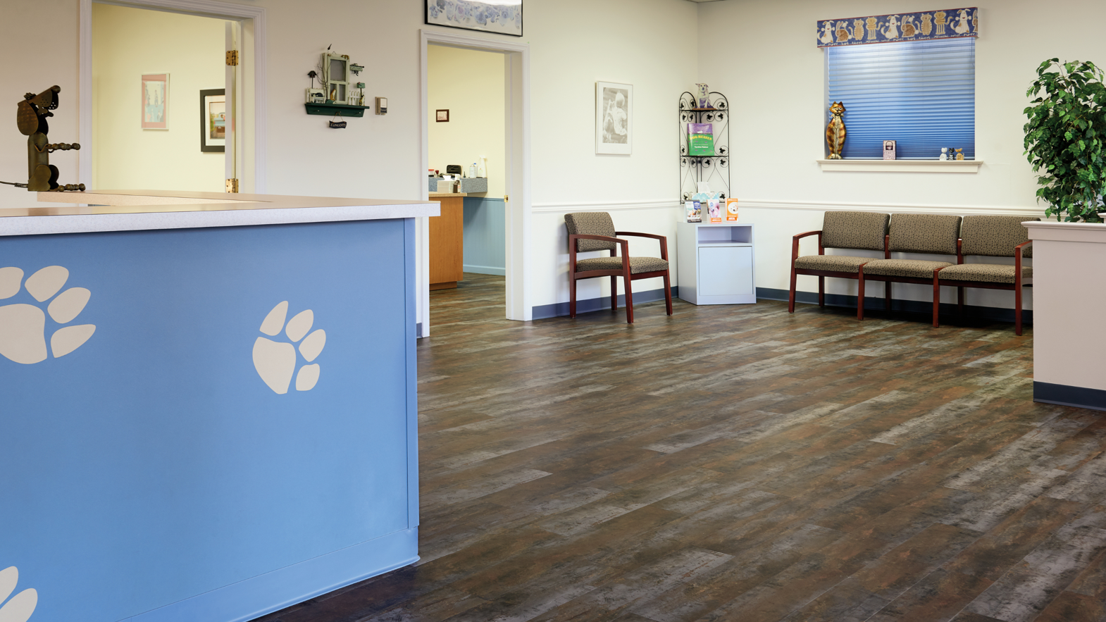 Texo gluedown lvt floors in the lobby at Hampfield Animal Hospital