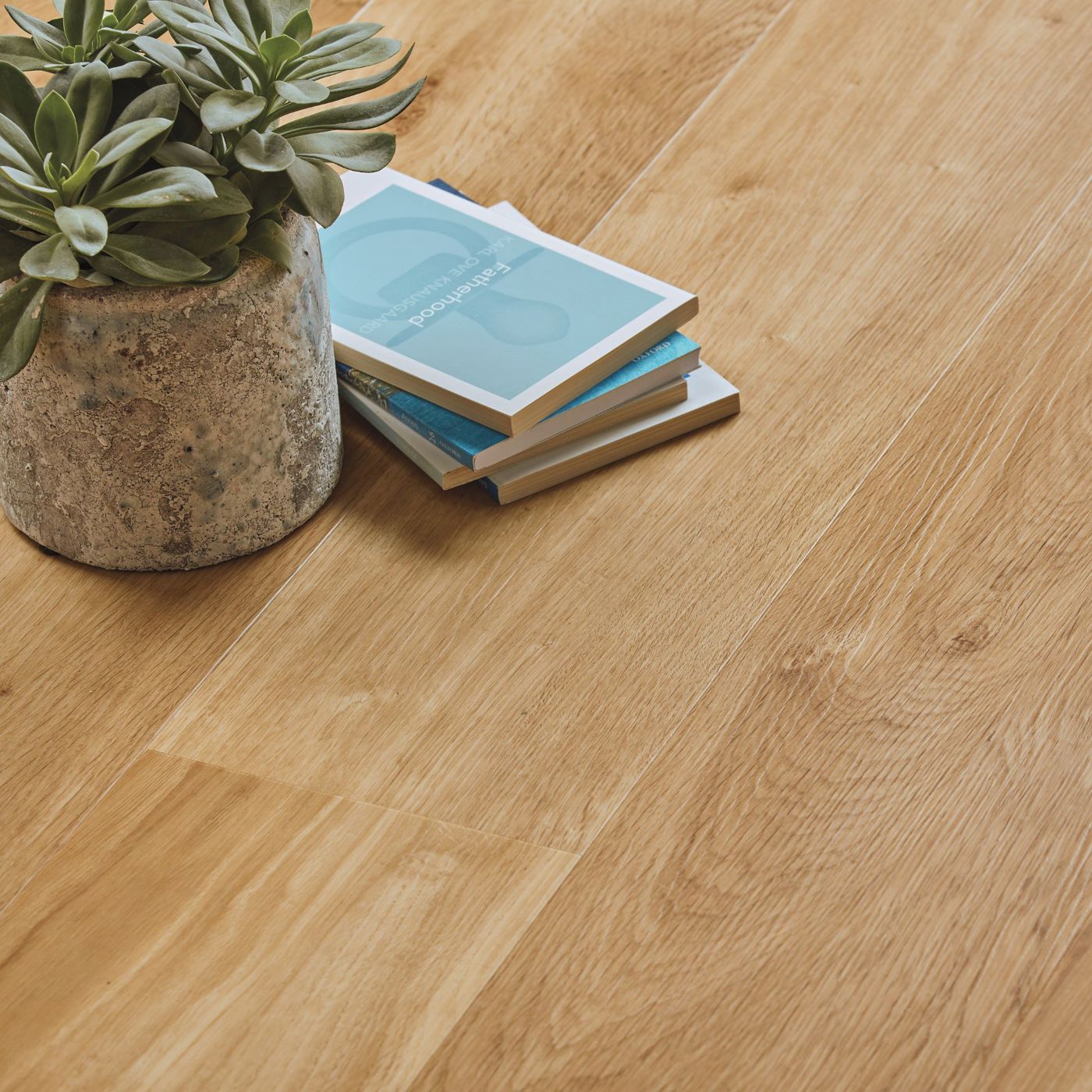 floor cameo plant and book thumbnail