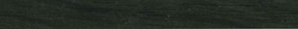 Karndean design strip DS07