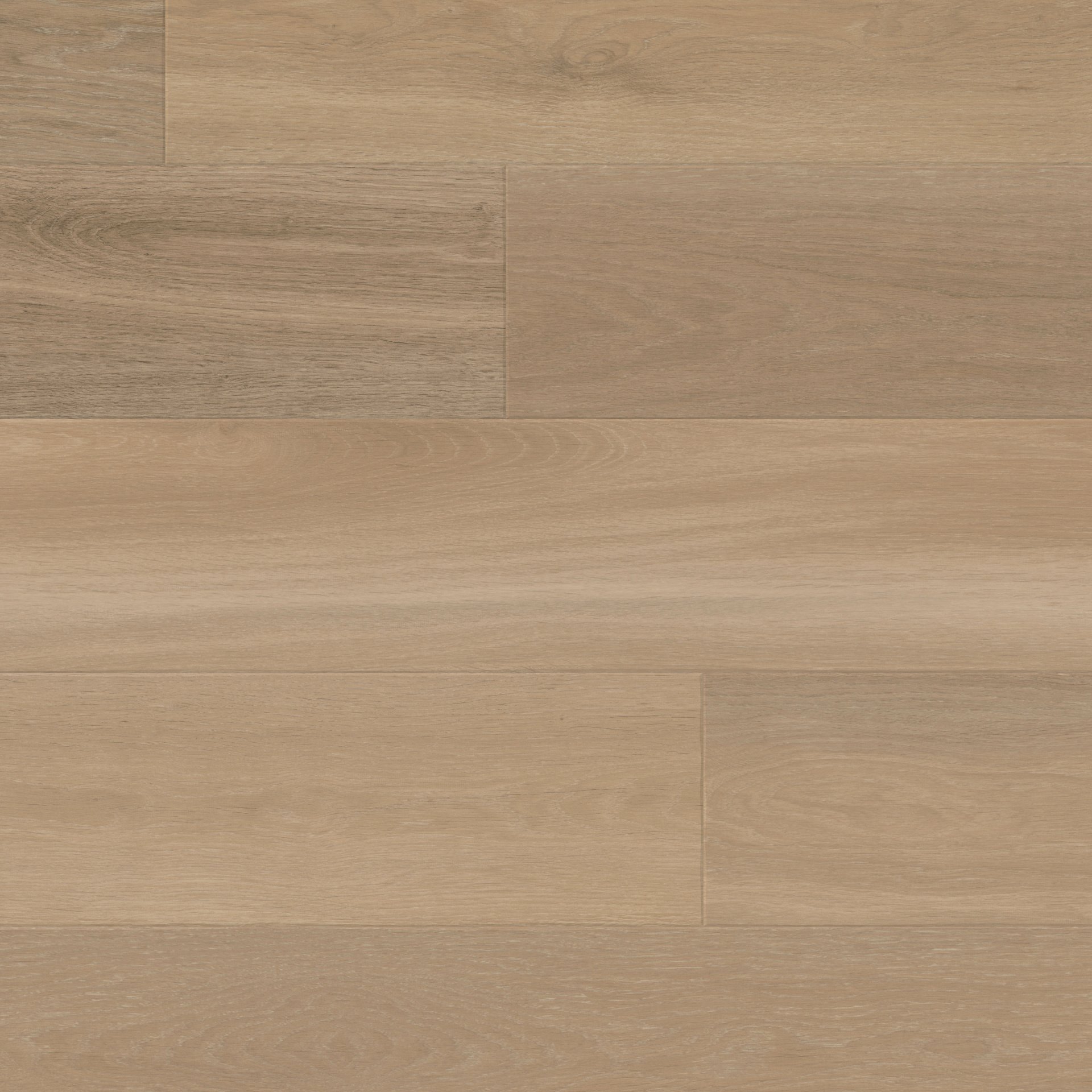 dune-oak--akp-rl24--oh_cm.jpg