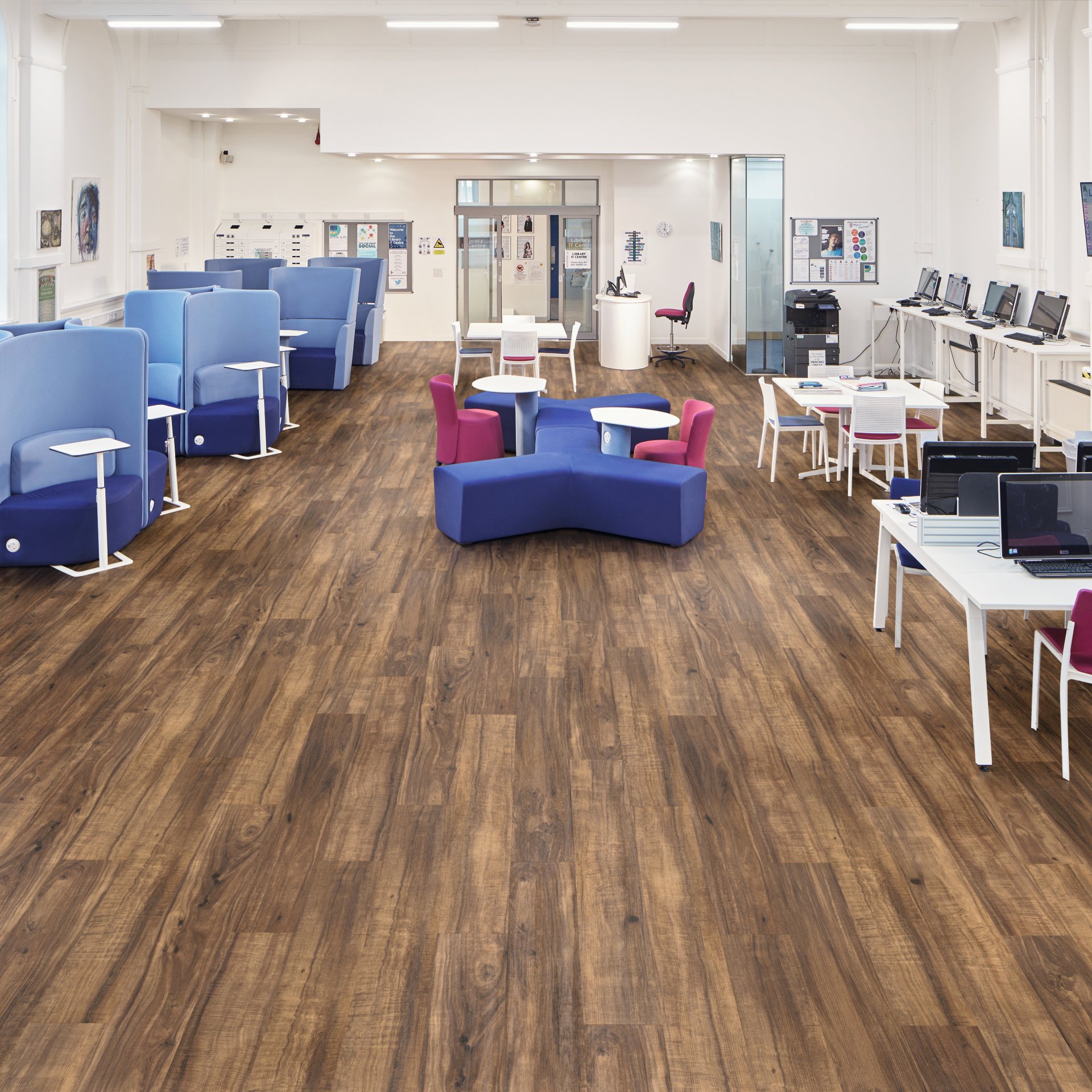 Korlok | Kilauea Koa RKP8124