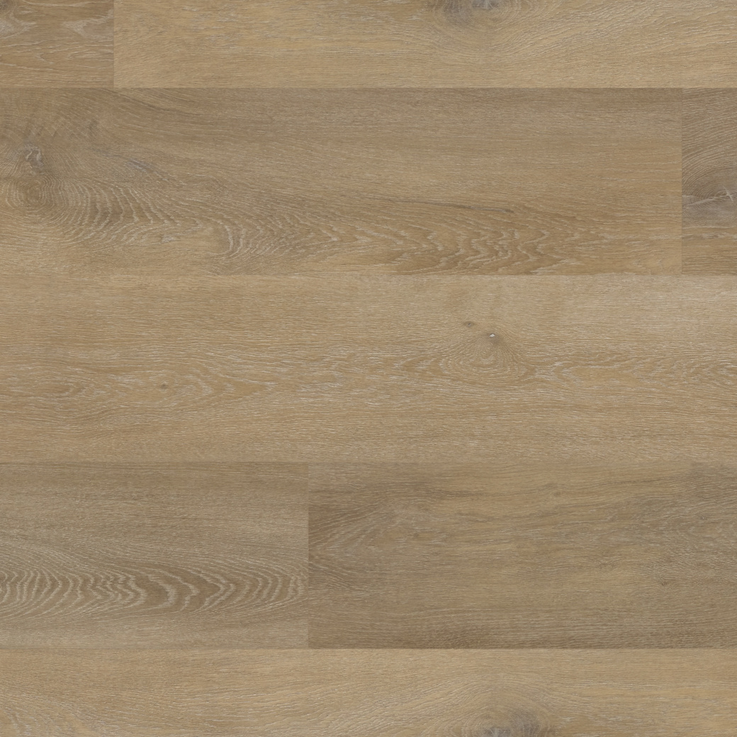 Palio Express Primrose Oak large plank overhead photo