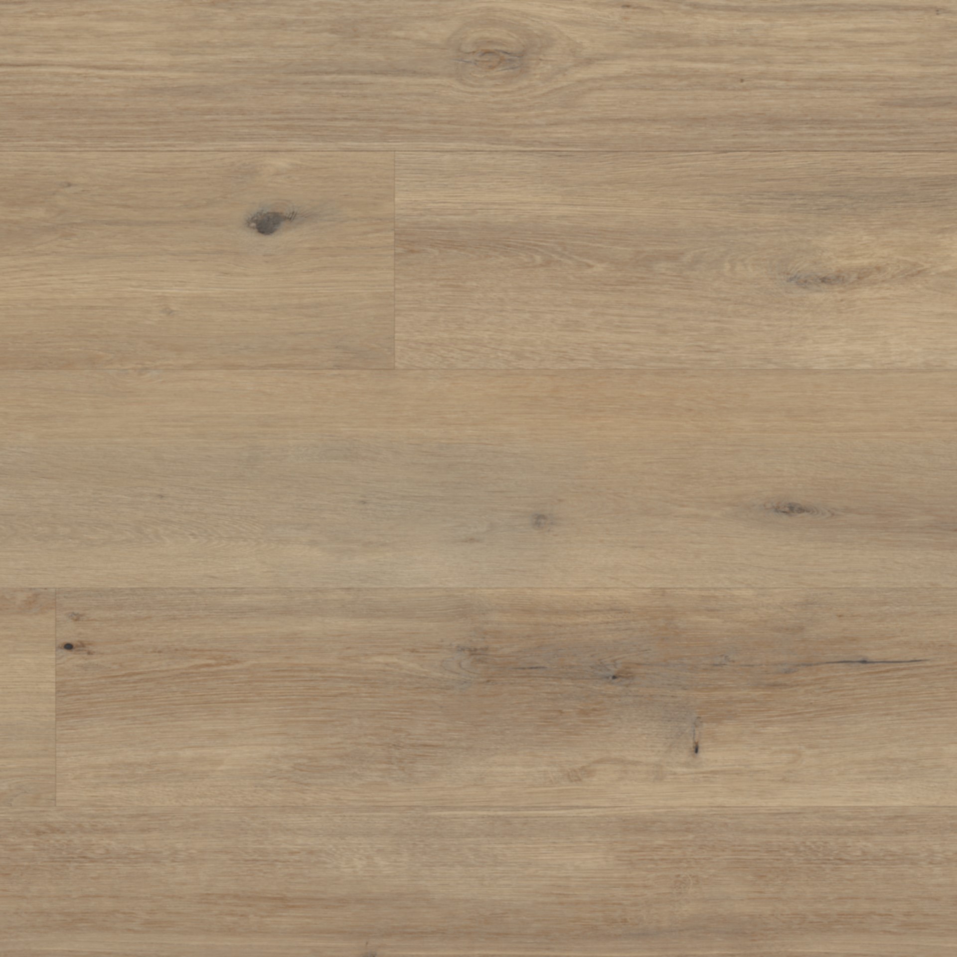 Korlok Select | RKP8116 Canadian Urban Oak