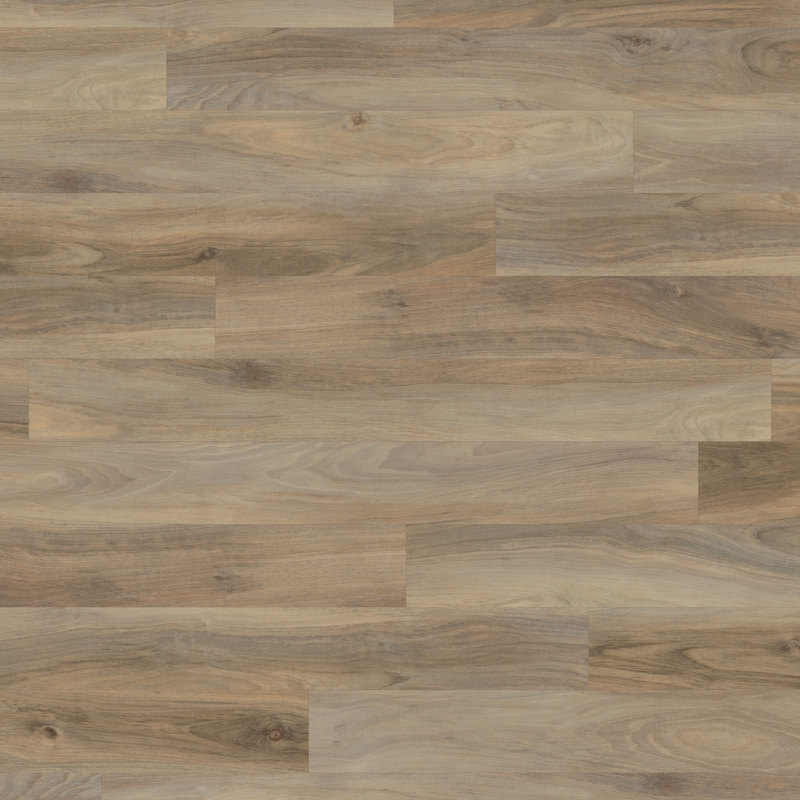 Weathered Elm REN113 