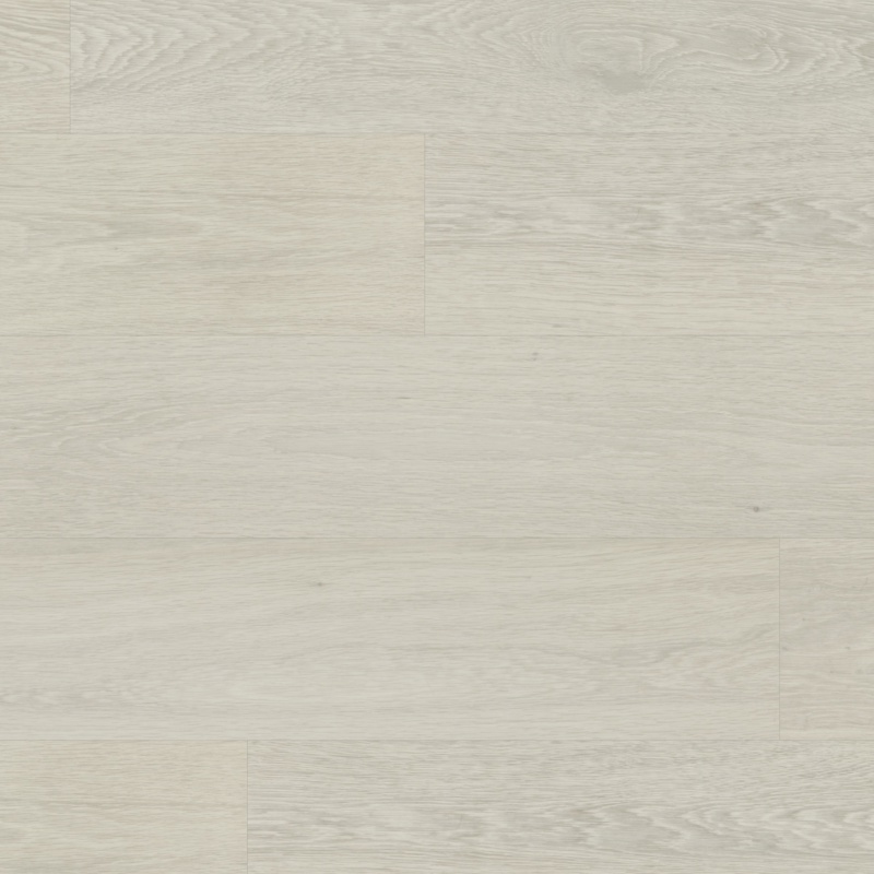 Columba WP422 
