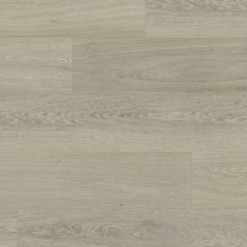 Avena WP423 