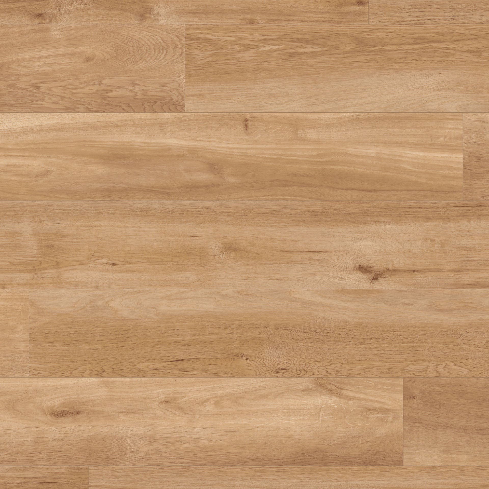 Van Gogh Rigid Core | LVP Flooring | Karndean Commercial